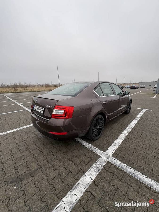 Skoda Octavia III 18 TSI 2014 BixenonLed Szczecin
