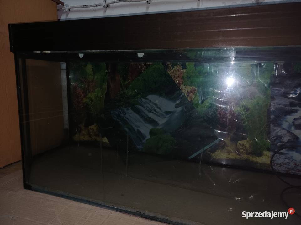 Sprzedam Akwarium 380l z pokrywa Tuszyn sprzedam
