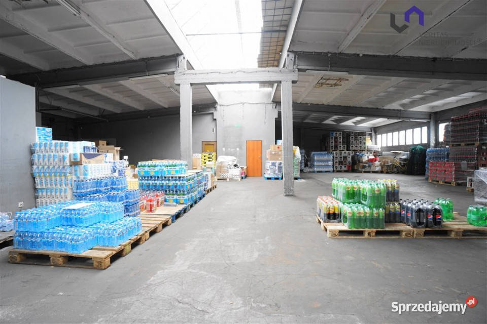 Lokal Katowice 600m2 Wynajem