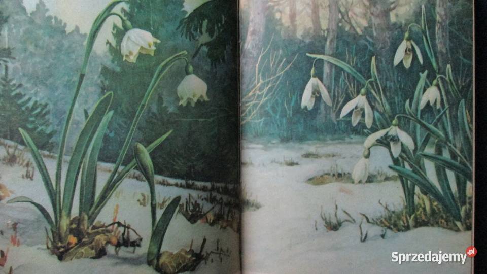 Ochrona roślin w PolsceLeonidas Świejkowski Pozostałe Łódź sprzedam