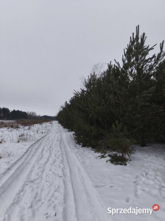 Działka budowlana Maków Skierniewice sprzedam