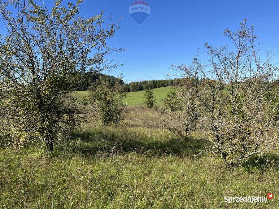 Działka na Mazurach 3 chwile do jeziora 65m Dudki sprzedam