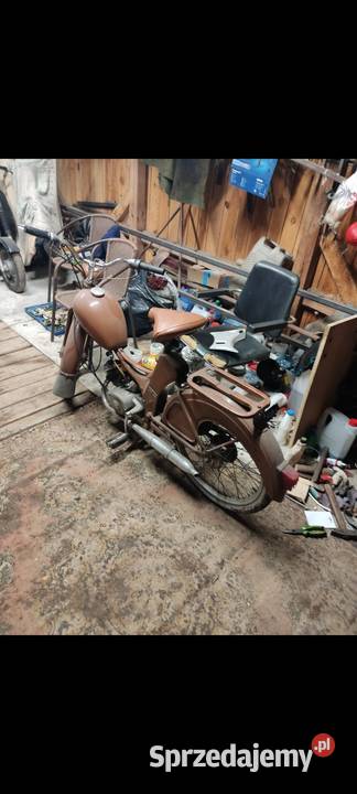 Simson Chełm
