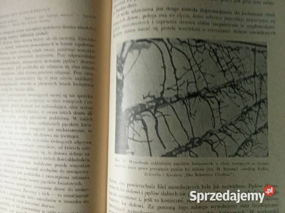 Sadownictwo i jego podstawy fizjologiczne F Łódź