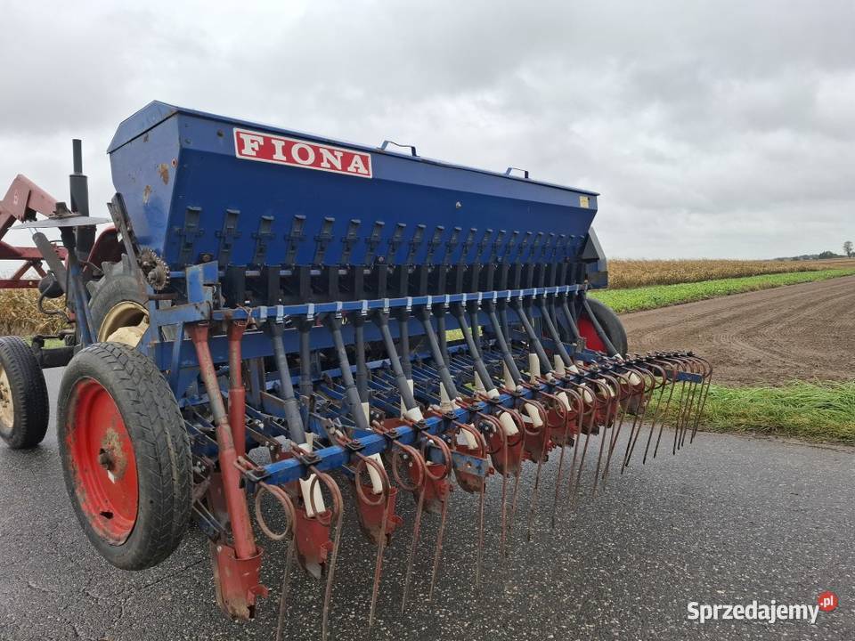 Siewnik Fiona Białynin