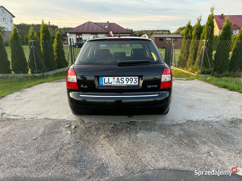 Audi a4 b6 19 TDI 101 z Niemiec Brudzeń Duży