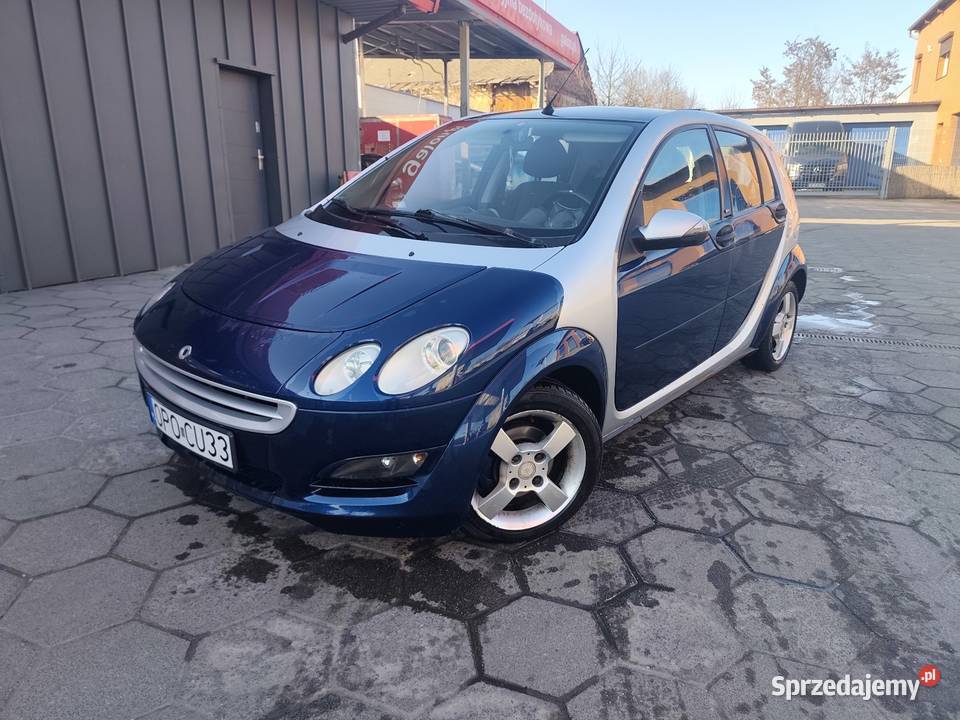 Smart forfour 15 świeży przegląd Grobniki