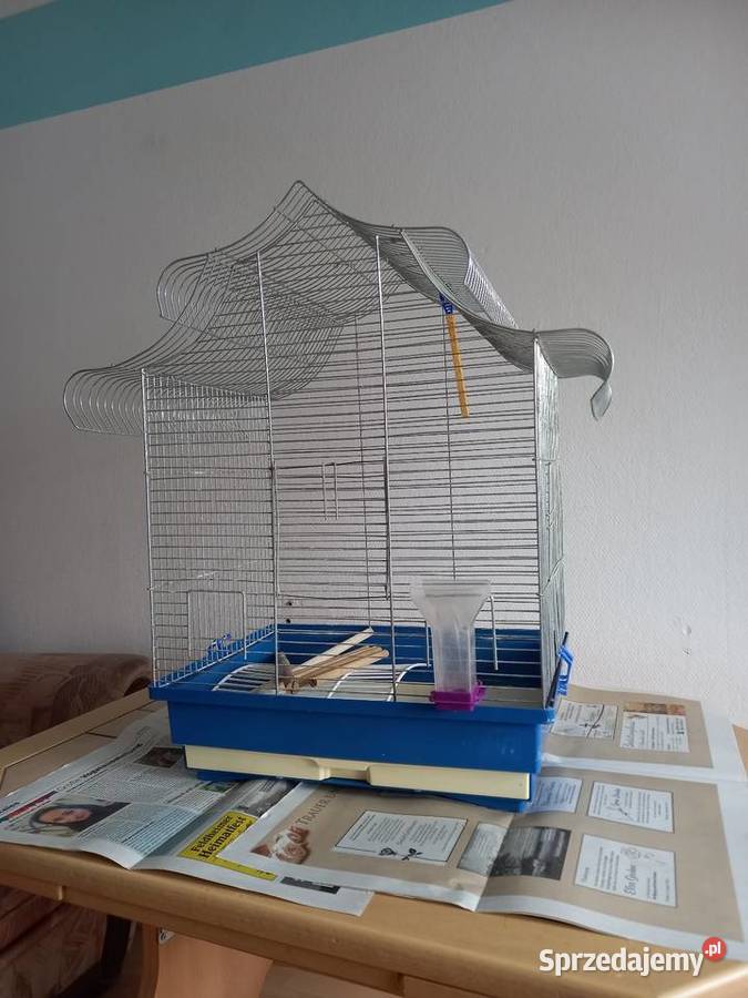 Klatka ptaszka Gorzów Wielkopolski