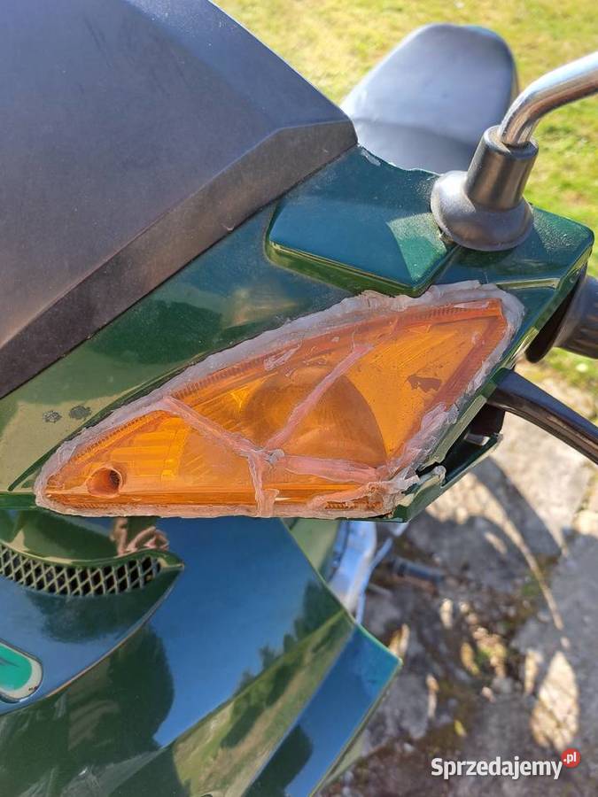 Zip salmo Domaszków