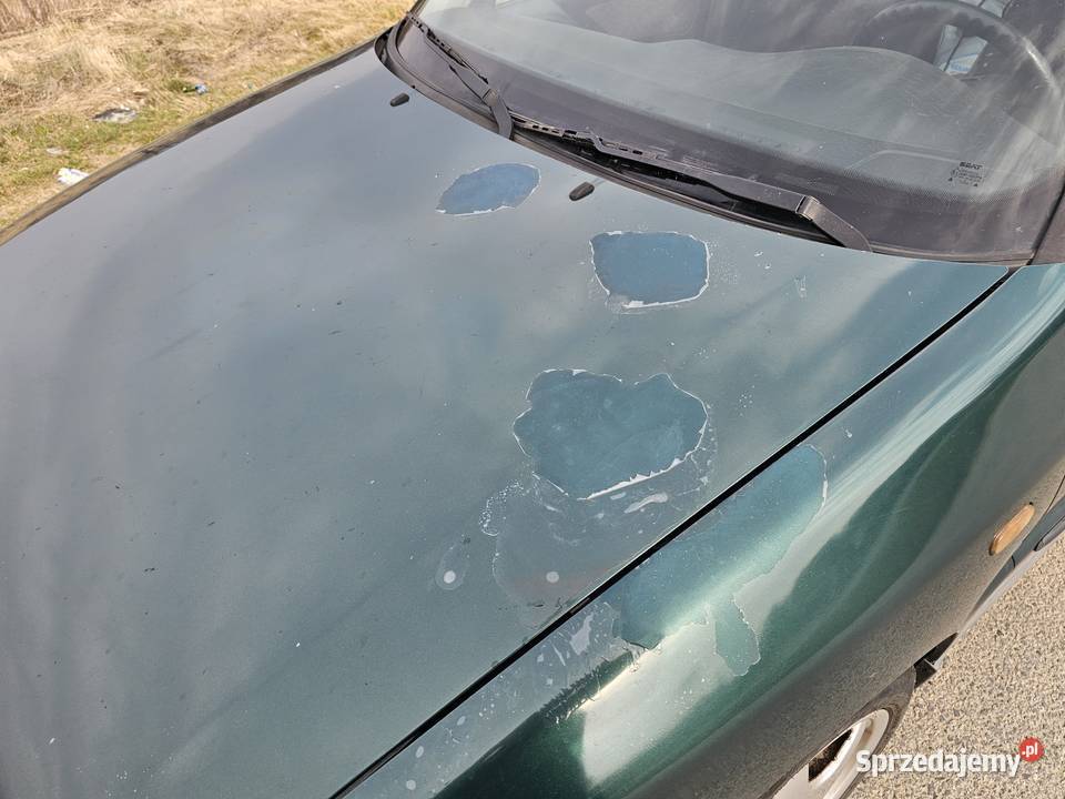 Seat Toledo 19tdi 110 1900cm3 Toledo dolnośląskie Ostroszowice