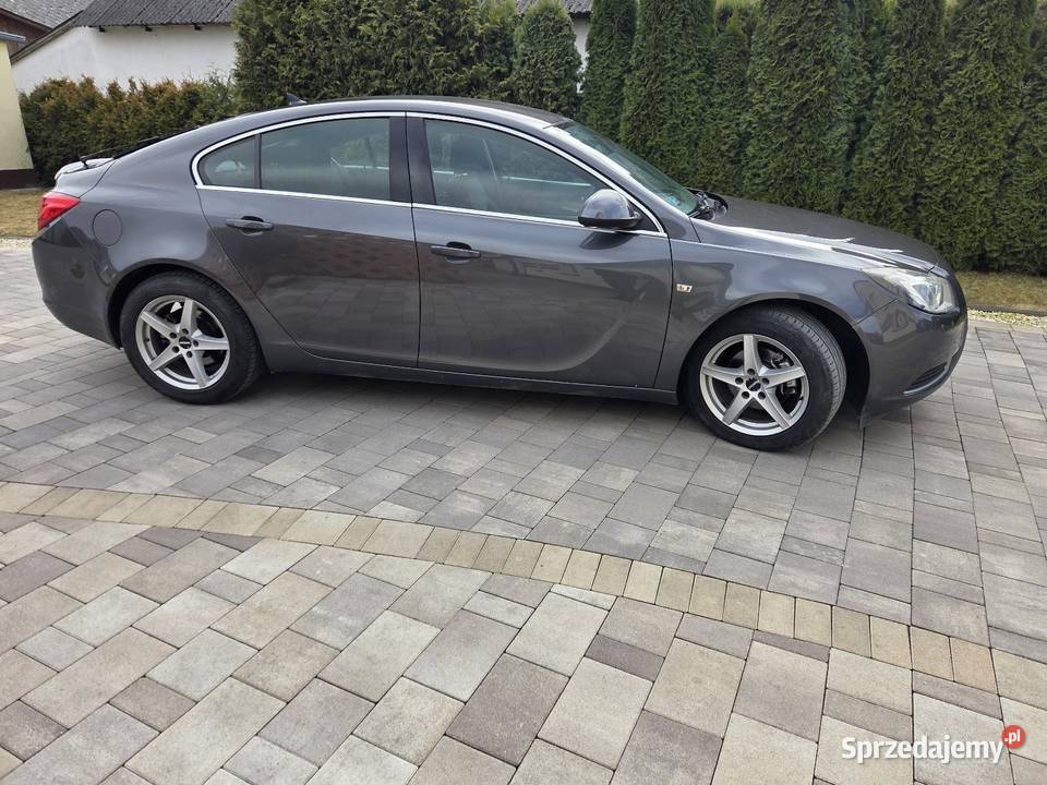 Opel insignia ecoflex 10 wezwypadek 2831111km Oksa