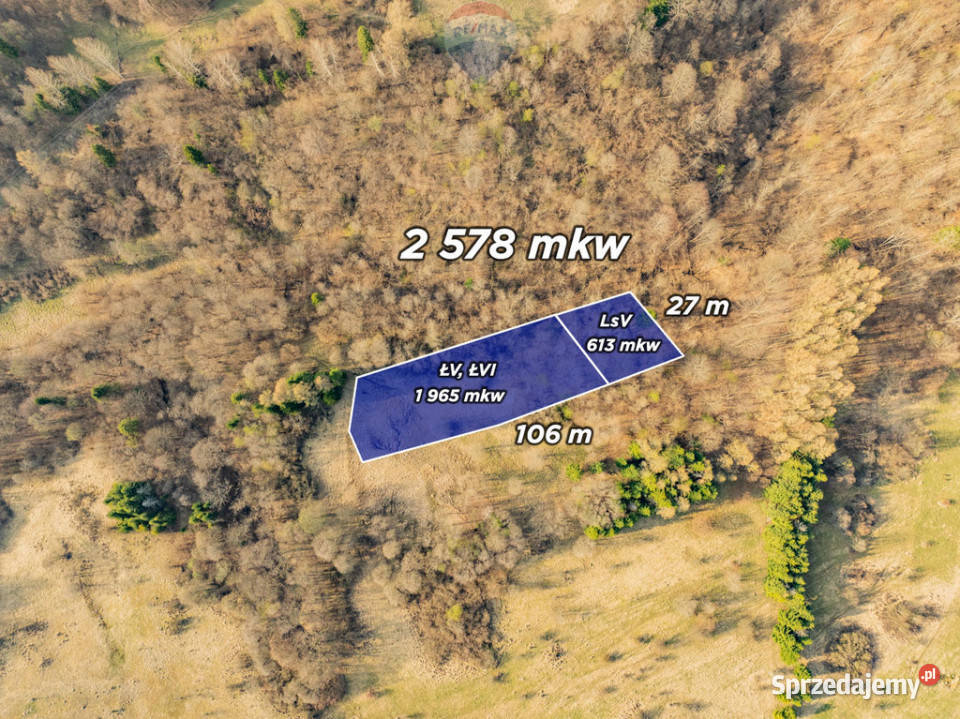 Szukasz prywatnego azylu w sercu Pienin Grunty i działki Szczawnica