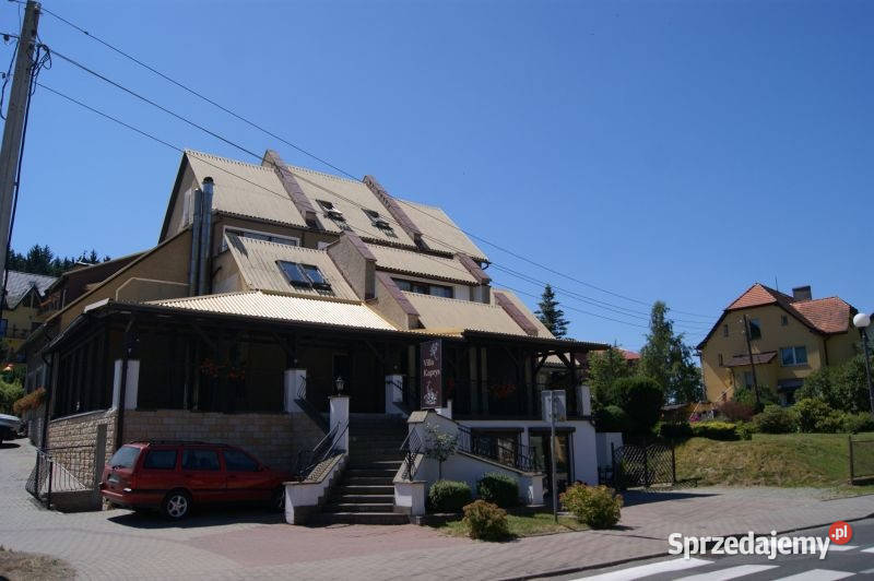 Budynek inwestycyjny Kudowa Zdrój 1 Maja 6957zł/m2 dolnośląskie Kudowa-Zdrój