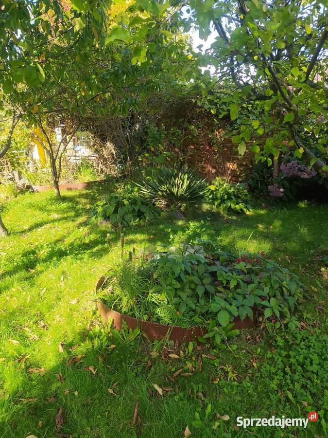 Działka ROD warmińsko-mazurskie