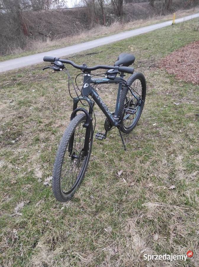 Rower górski Arkus Beryl 270 Disc koła 275