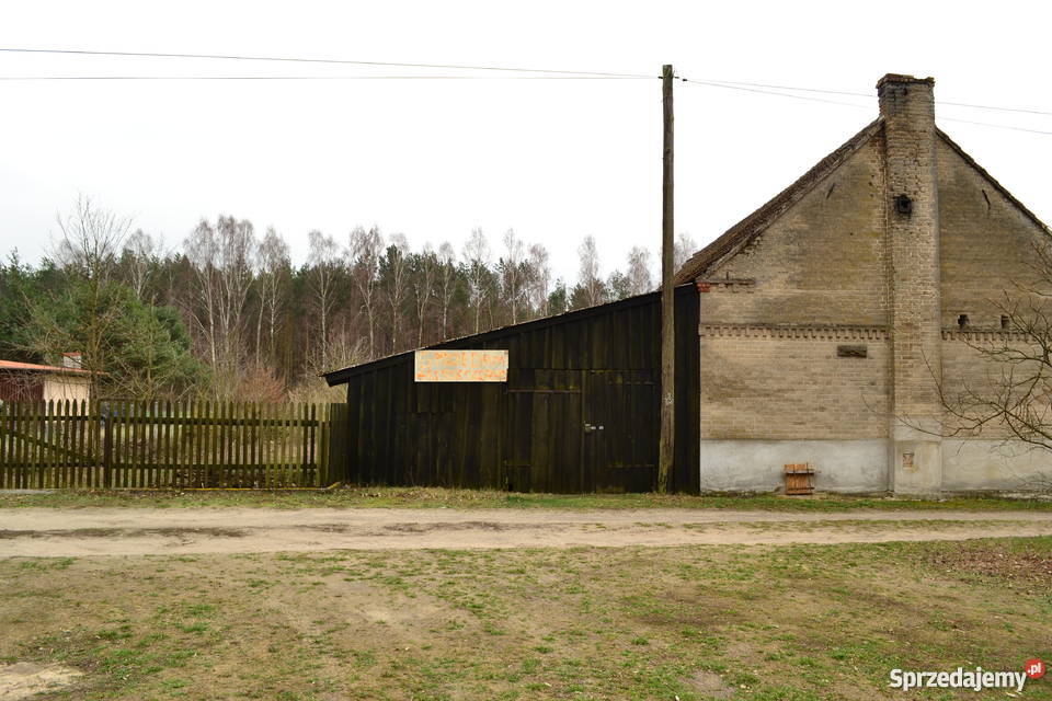 Dom na wsi lesie piękna okolica Górki Noteckie sprzedam