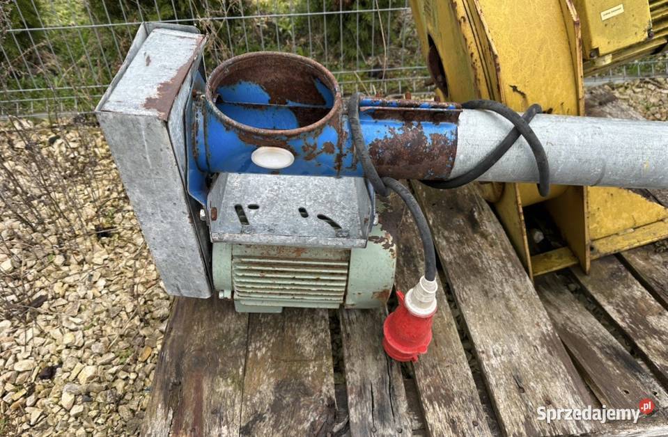 Żmijka 35m świętokrzyskie Łachów