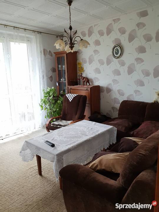 M4 Zielona Jastrzębie Zdrój Jastrzębie-Zdrój