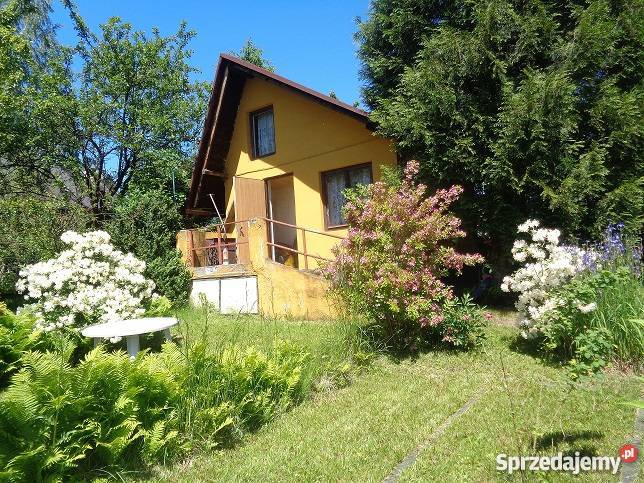 Ogródek działkowy ROD MALUCH BielskoBiała Bielsko-Biała