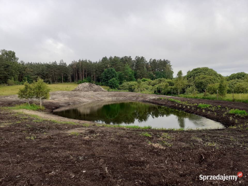 Kopanie pogłębianie stawów usługi koparką linową Małdyty