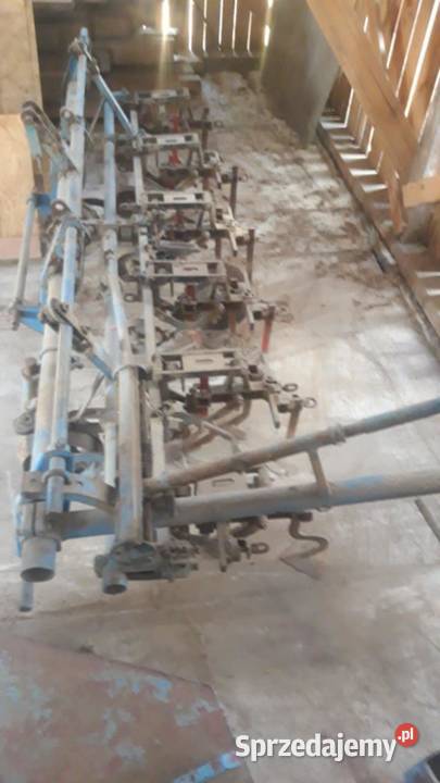 Opielacz lubelskie Krasnystaw