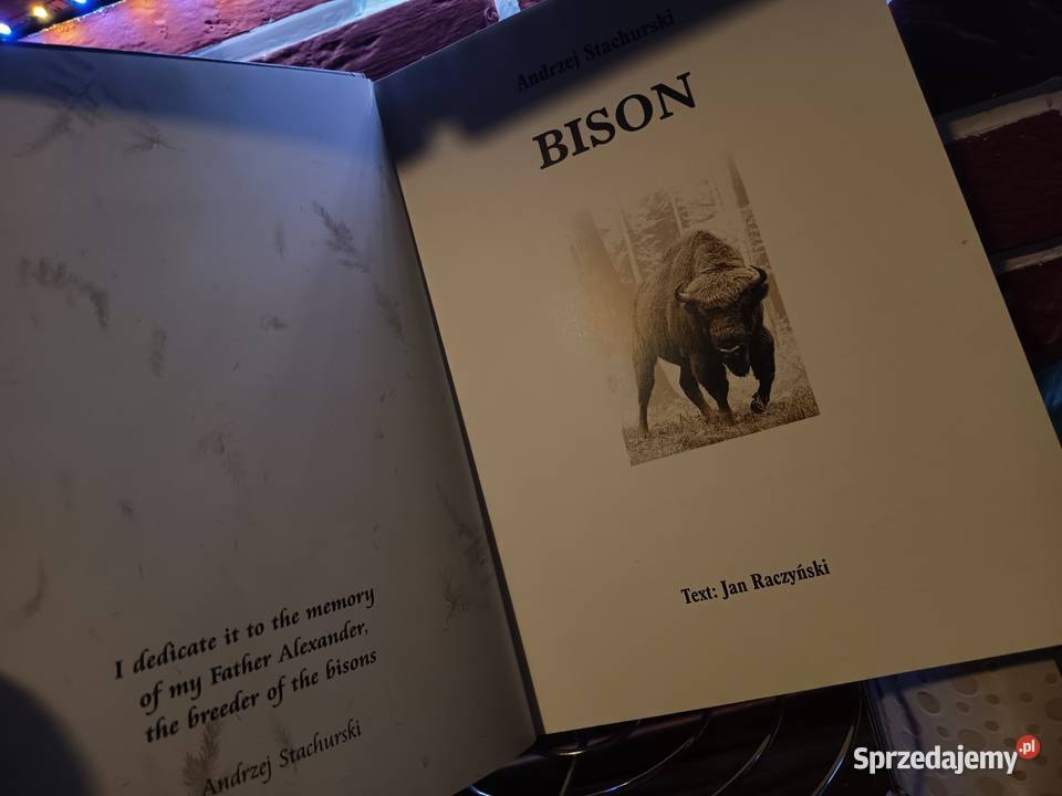Luksusowy Album FOTO BISON ŻUBR 2003 EN Bydgoszcz sprzedam