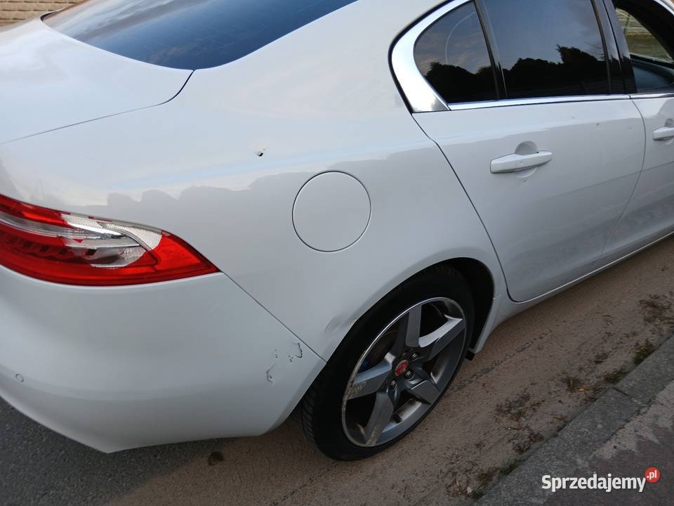 Jaguar XE 20 Panoramadach Automat Biała perła z Jaguar Dobrzyca