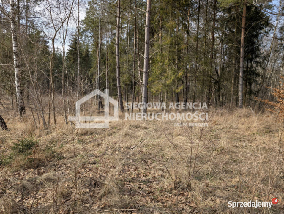 Grunt do sprzedania Otomin 1500m2 inwestycyjna