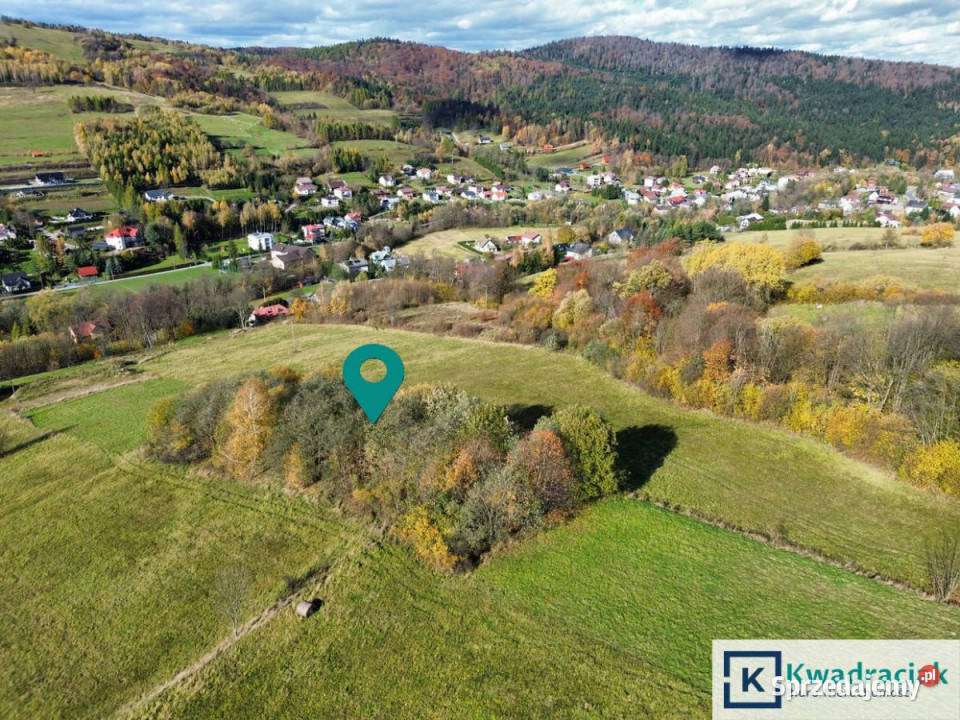 Ziemia 2000m2 RymanówZdrój podkarpackie