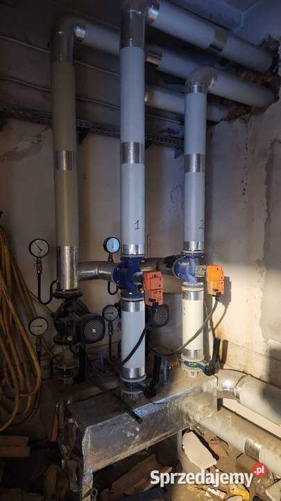 Suszarnia do drewna palet tarcicy desek kantowek Produkcja Marciszów sprzedam