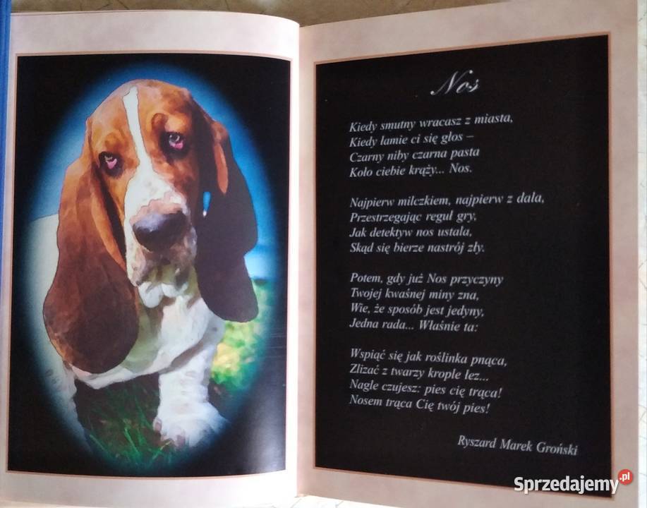 Tajniki chińskiej astrologii Reda sprzedam