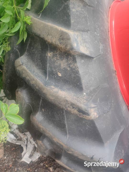 Koła bliźniaki 7107542 Cedry Wielkie