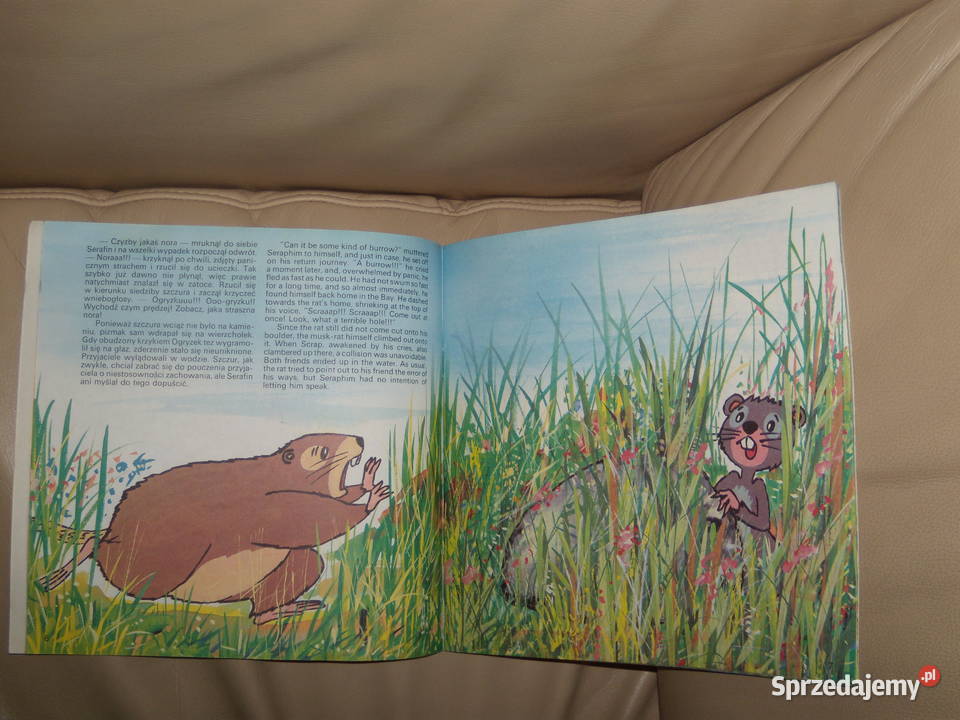 Tajemnice Wiklinowej Zatoki Książki dla dzieci Warszawa