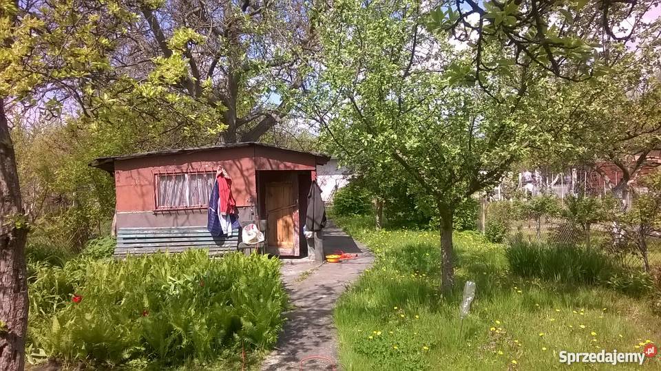 Działka rekreacyjna ROD Przybyszewskiego 460m2 Toruń