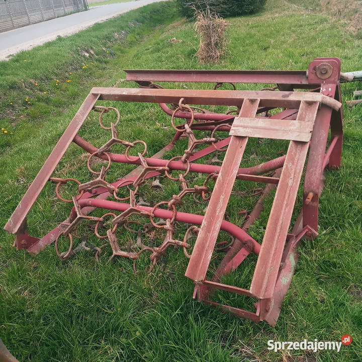 Włóka polowa Piątek