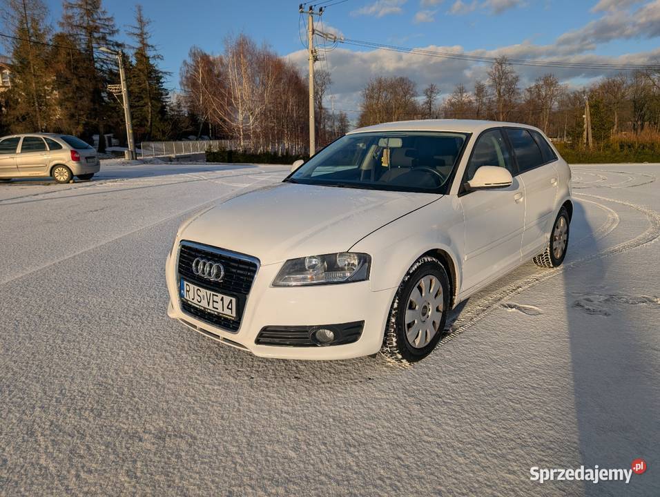 Audi A3 8P Lift 19TDI manualna Jasło