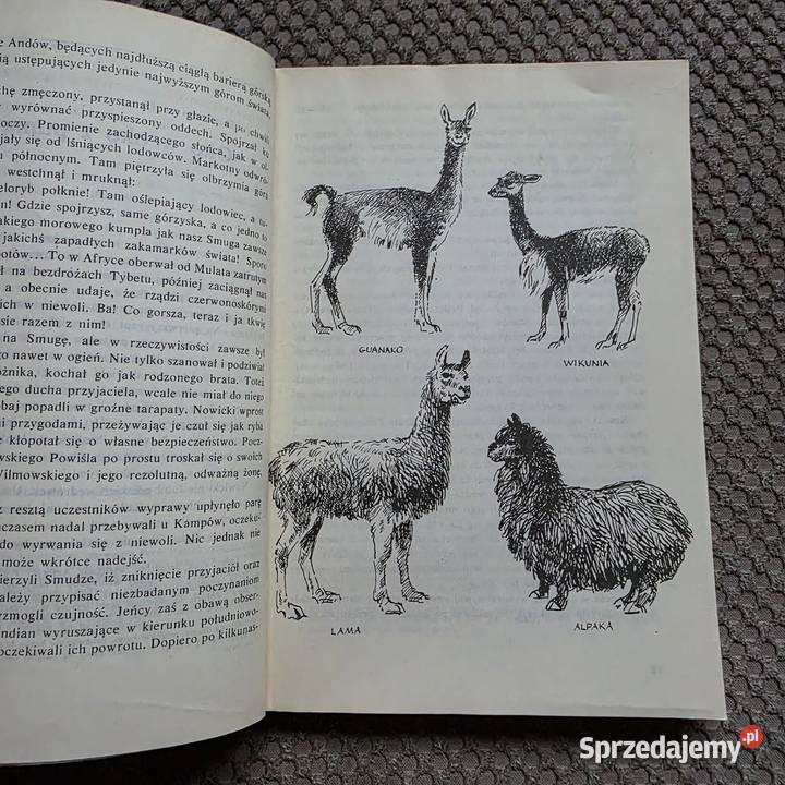 pierwsze wydanie Tomek w Gran Chaco Alfred Kraków