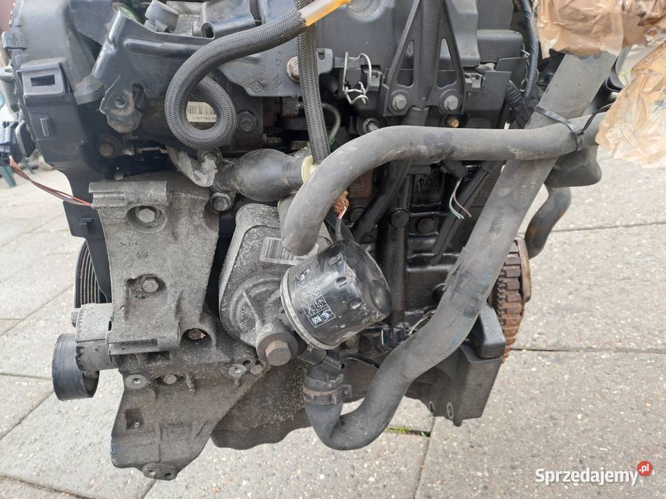 Dacia Dokker Sandero Renault Kangoo 15 DCi Jastrzębie-Zdrój