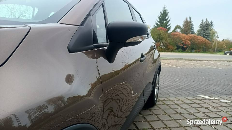 Renault Captur Zduńska Wola