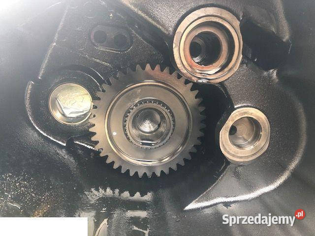 Claas Ranger Skrzynia International Ratio 12 Jastrzębniki