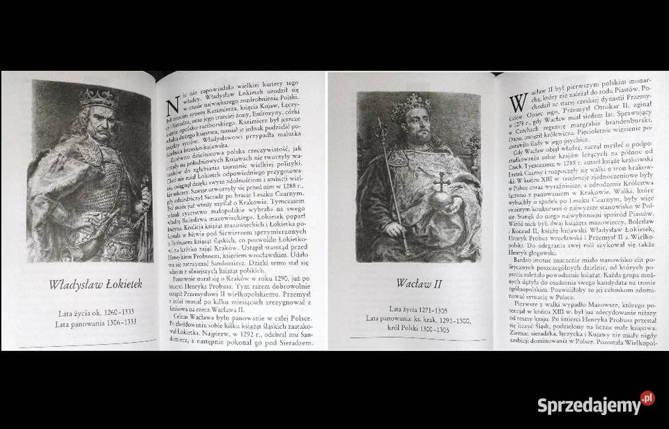 Poczet królów i książąt polskich Jana Matejki lubelskie Chełm sprzedam