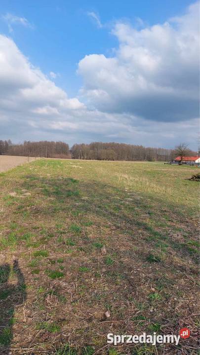 Sprzedam Działkę 32m Kondrajec sprzedam