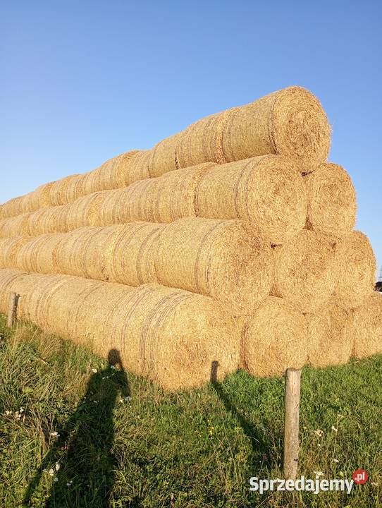 Sprzedam słome prasie Mchele 100 i 90 Burszewo sprzedam