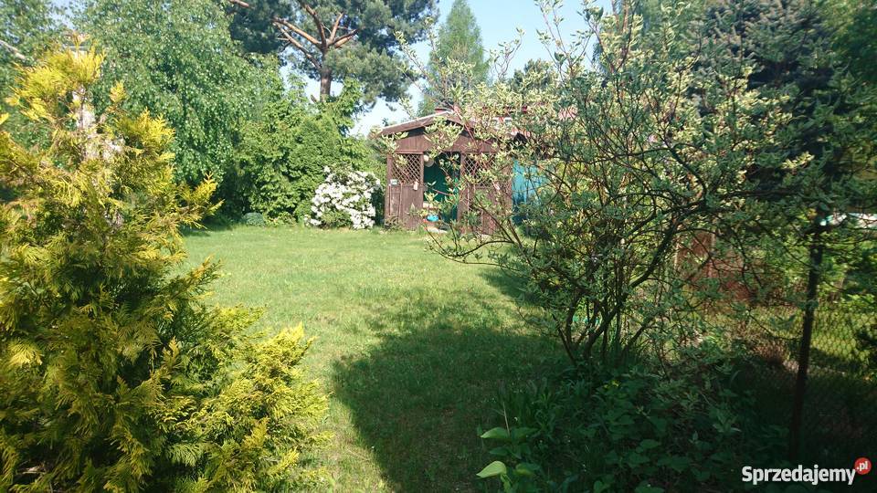 Zadbana działka koło Nadarzyna ROD Kajetany szambo Grunty i działki mazowieckie