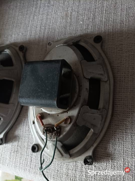 Isophon głośniki szerokopasmowe alnico Płock