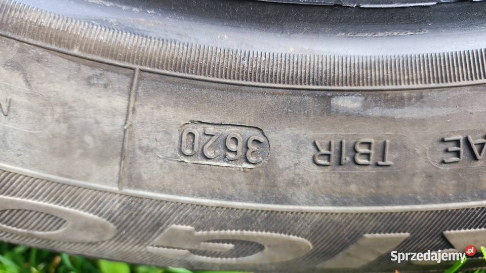 Opony Zimowe Dębica Frigo Hp2 195 65 R15 Zalas