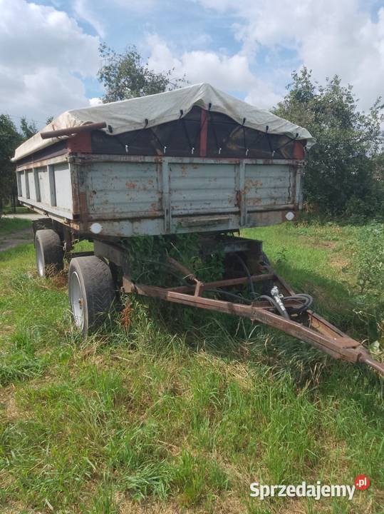 Przyczepa D47 Wywrotka Zarejestrowana Plandeka Szubin