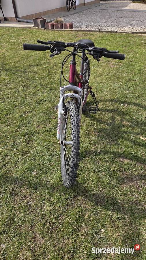 Rower damski Scirocco Sport i Wypoczynek Przysieki sprzedam