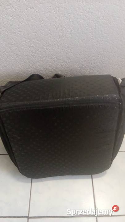 Luksusowy fotelik samochodowy psa Bochao Jarocin