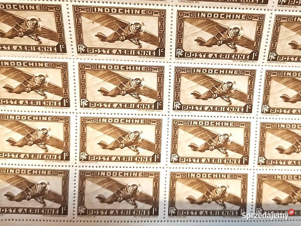 Znaczek kolonialny Poczta lotnicza Indochiny mazowieckie Bronisze